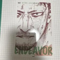 ヒロアカ原画展ONE SCENE CARD COLLECTION エンデヴァー