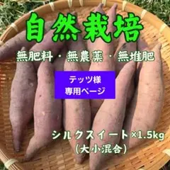 テッツ様専用ページ