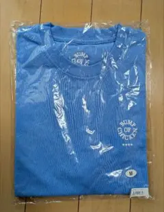 小沢健二ビッグ ワッペン フェードTシャツ - メルカリ