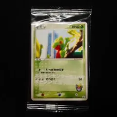 ポケモンカード キモリ 037/PCG-P プロモ ポケモンセンターヨコハマ