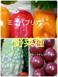 セロニー様 リクエスト 2点 まとめ商品