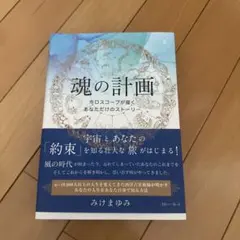 ニックメリー様 リクエスト 2点 まとめ商品