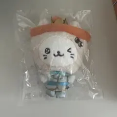 NCT WISH ユウシ ぬい POCKET WISH DOLL バブルニャン - メルカリ
