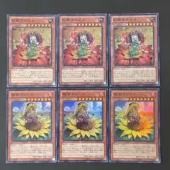 遊戯王　姫葵マリーナ　紅姫チビルメ　スーパー　各3枚
