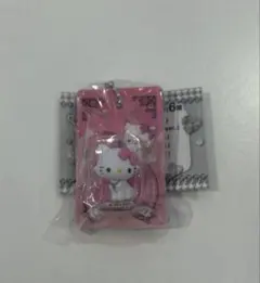 【新品】ハローキティ チャーミーキティ　パッケージミニチュアコレクション