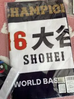 Item thumbnail for item 5598fef5-574f-4ca6-a161-b5359436e75b