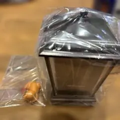 ポケモン ランタンジオラマ ヒトカゲ