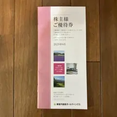 東急不動産ホールディングス株主様こ優待券　500株以上1000株未満