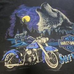 ✨USA製90s✨ silver wolf & eagle ハーレーロンT