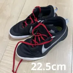 Item thumbnail for item 4e1b459b-e9d5-4d2d-bc83-dda337b74488