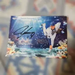 2026年最新】BBM 山崎康晃 直筆サインの人気アイテム - メルカリ