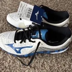 Item thumbnail for item de55b610-4256-432a-a570-e20859b3b6c2