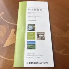 最新！東急不動産ホールディングス株主優待券　100株　匿名配送のサムネイル
