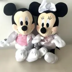 ミッキー　ミニー　ウェルカムドール