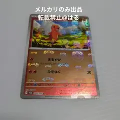 271 ヒトカゲ マスターボールミラー 151 - メルカリ