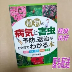 くう太様 リクエスト 2点 まとめ商品