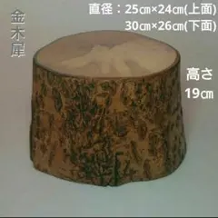 Item thumbnail for item e8abffbb-0b24-42af-80bb-e0d85ebc631d