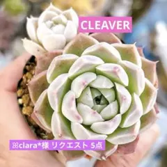 ꕤclara*様 リクエスト 5点 まとめ商品