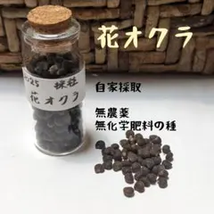 sacchama様 リクエスト 6点 まとめ商品