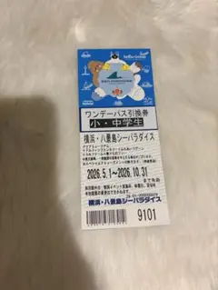 青ブタ×八景島シーパラダイス プレミアムパス風カード 姫路紗良 入場