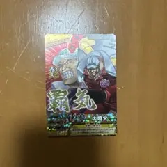 ワンピーベリーマッチダブルCP赤犬