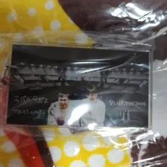 Item thumbnail for item c19d426a-efbb-472d-96e2-39053bcd92e2