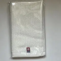 Item thumbnail for item 12f29abe-e25e-43a4-b47e-b18c55429ff5