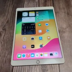 iPad Pro 10.5インチ 512GB ゴールド 美品