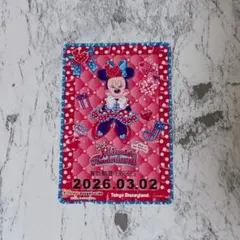 リゾラ フリーきっぷ ミニーのファンダーランド　ミニーの日　2026年3月2日