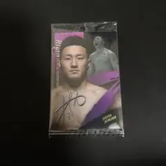 RIZIN SHUYA KIMURA & SHINTARO TOKUSHIMA