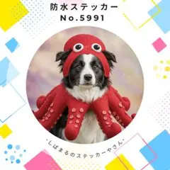 Border Collie ステッカー ボーダーコリー 犬雑貨