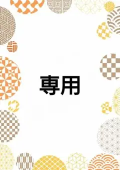 専用出品