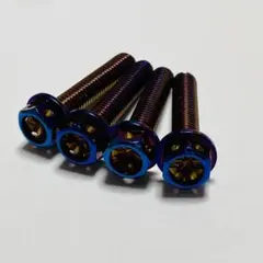 チタン カラーボルト 4本 M8×40 タンデムバーなどへ！のサムネイル