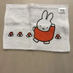 Item thumbnail for item 4ee32fe8-25d8-4125-8b0b-25eb8bd55c1d