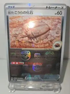 【送料込み】マスターボール古びたこうらの化石 C SV2a ポケモンカード151のサムネイル