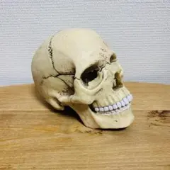 2025年最新】ドクロちゃん フィギュアの人気アイテム - メルカリ