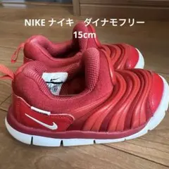 NIKE ナイキ　ダイナモフリー