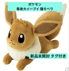 2025年最新】等身大 イーブイの人気アイテム - メルカリ