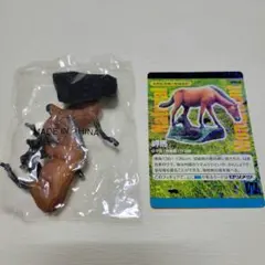 2026年最新】日本の天然記念物 海洋堂の人気アイテム - メルカリ