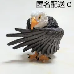 Item thumbnail for item 7083c7e0-5427-40c9-a921-b3fdb1845bed