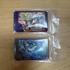 ポケモンフレンダ　シャワーズ　ウガツホムラ2枚セット