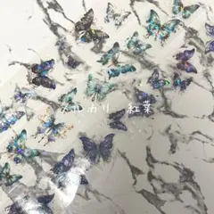 【mc-24'】海外 蝶 PETシール切り売り 幅5cm・3色×1ループ
