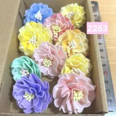 ソラフラワー　2263