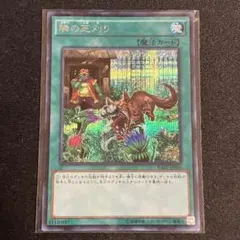 遊戯王　隣の芝刈り シークレット　②