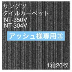 アッシュ様専用③
