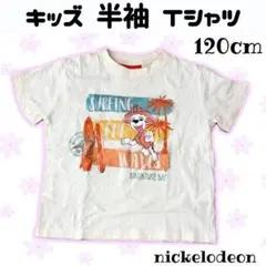 パウ・パトロール 半袖 Tシャツ 120cm マーシャル サーフィン
