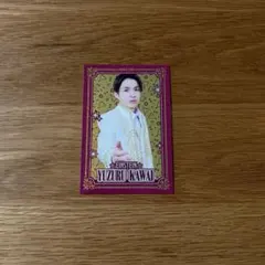 アインシュタイン 河井ゆずる よしもとコレカ - メルカリ