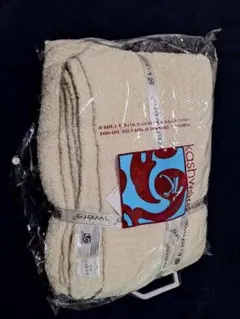 Item thumbnail for item 1b0cef03-e29a-47c4-b737-9cb924acb36e