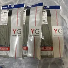 GUNZE YV0040V グレー 下着 M 3枚