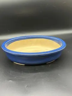 青い陶器製楕円形植木鉢